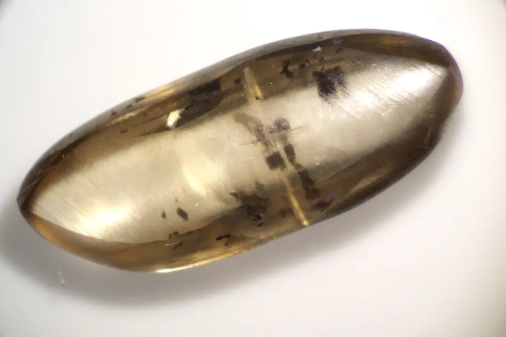 On September 13, A Family From Oklahoma Found The Diamond.