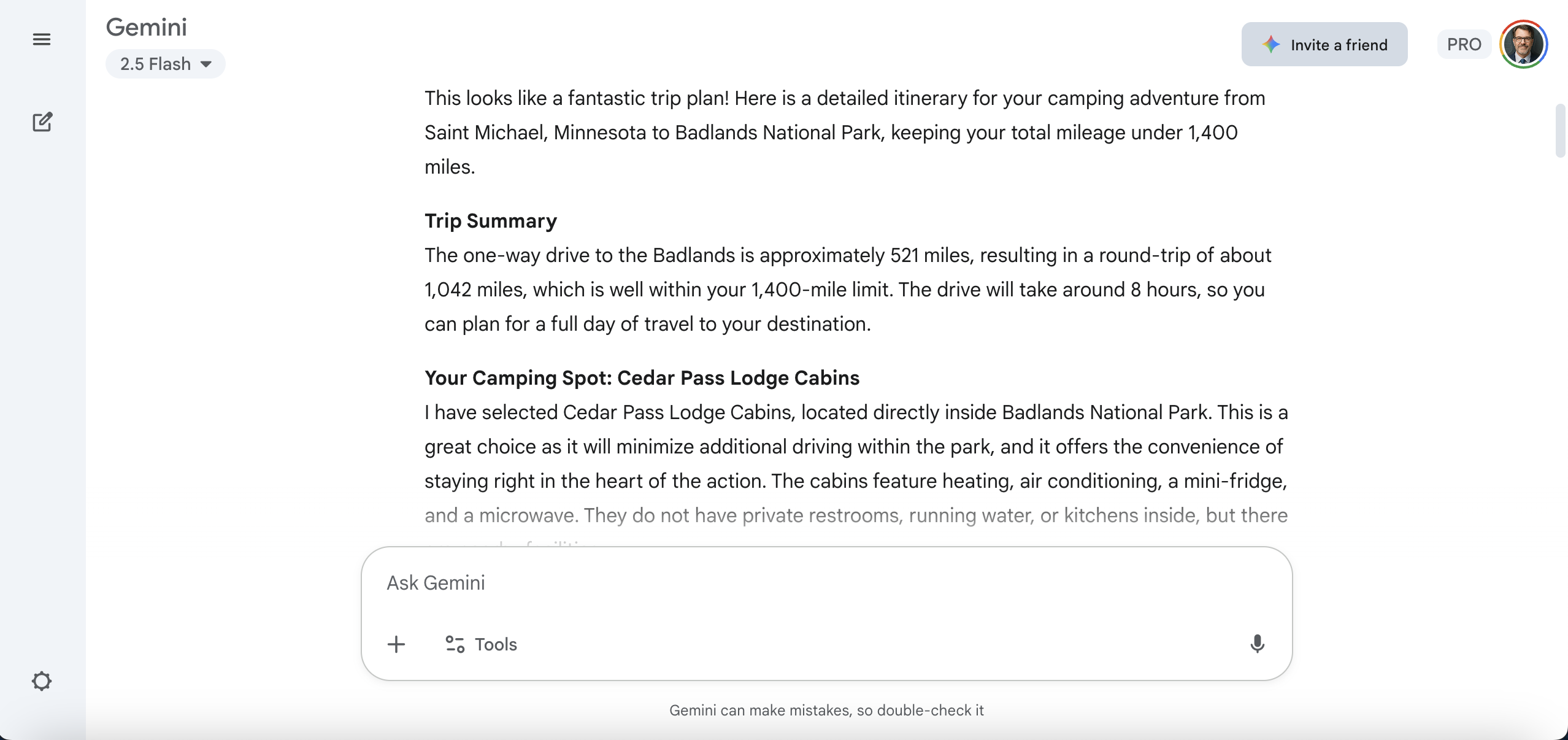 Screenshot of Google Gemini