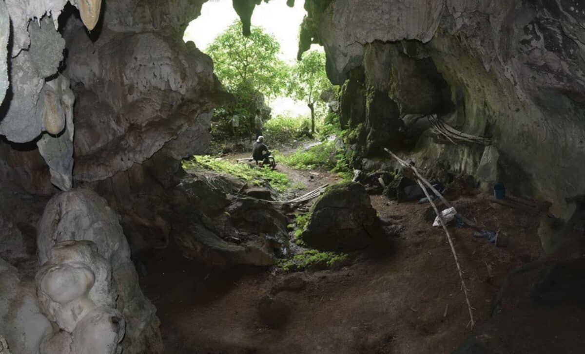  Scientists Discover the World’s Oldest Cave Art in Indonesia, It Features a Pig