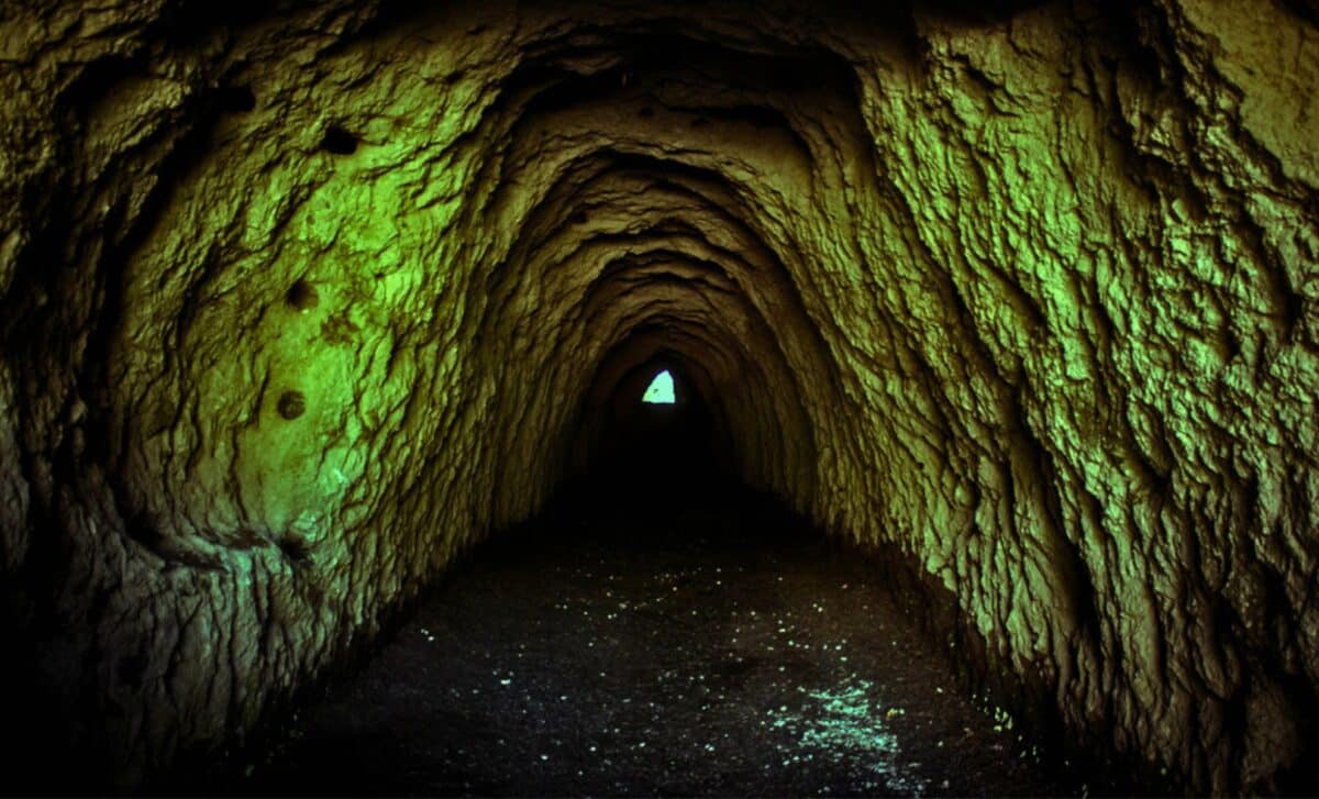  An Ancient Life Form Frozen for 40,000 Years Woke up in Alaska—Six Months Later, Everything Changed