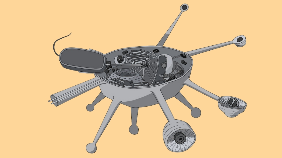  Newly Discovered Organism Could Represent a Whole New Branch in The Tree of Life : ScienceAlert