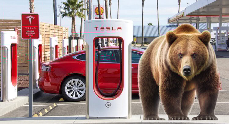  ‘A Losing Bet,’ Says Top Investor About Tesla Stock