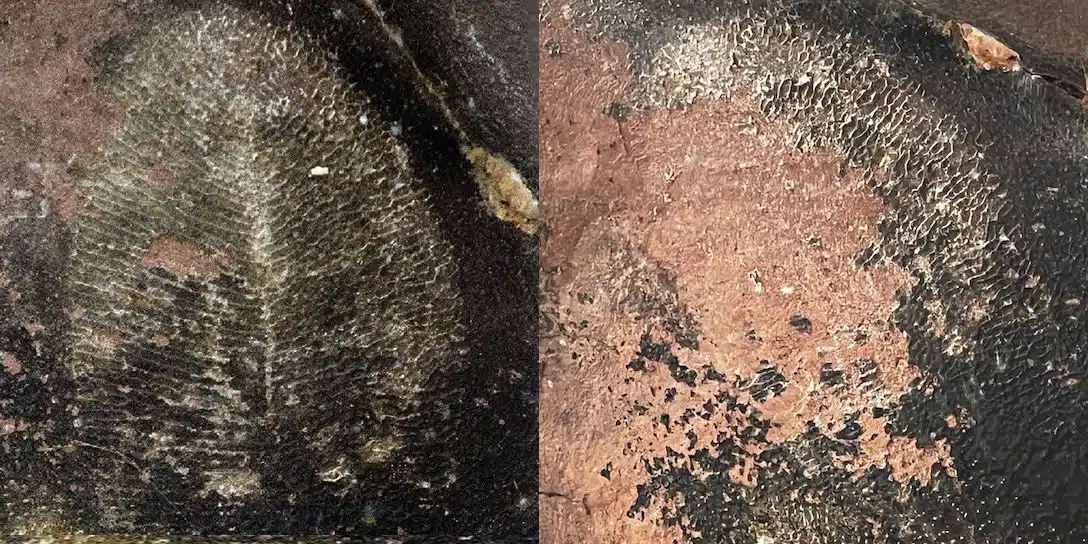 The 'fossil' As Seen In 2020 (left) And 2022 (right)