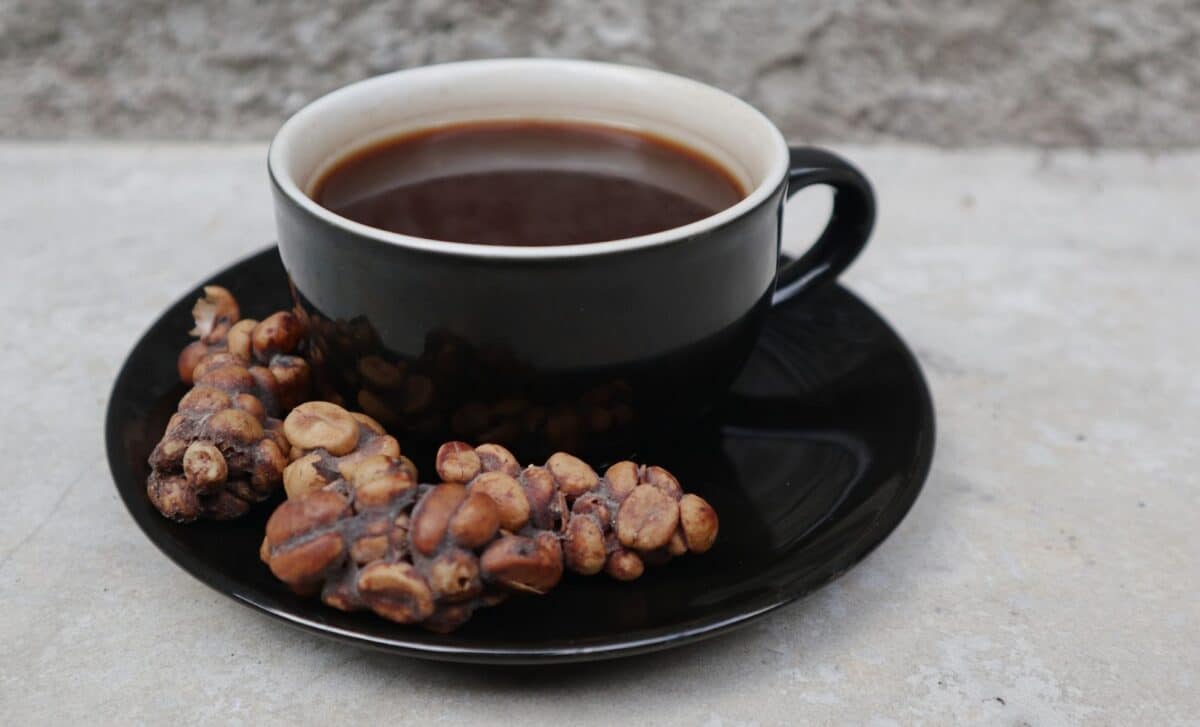  This $1,000 Coffee Is Made from Animal Poop, and People Are Already Tasting It