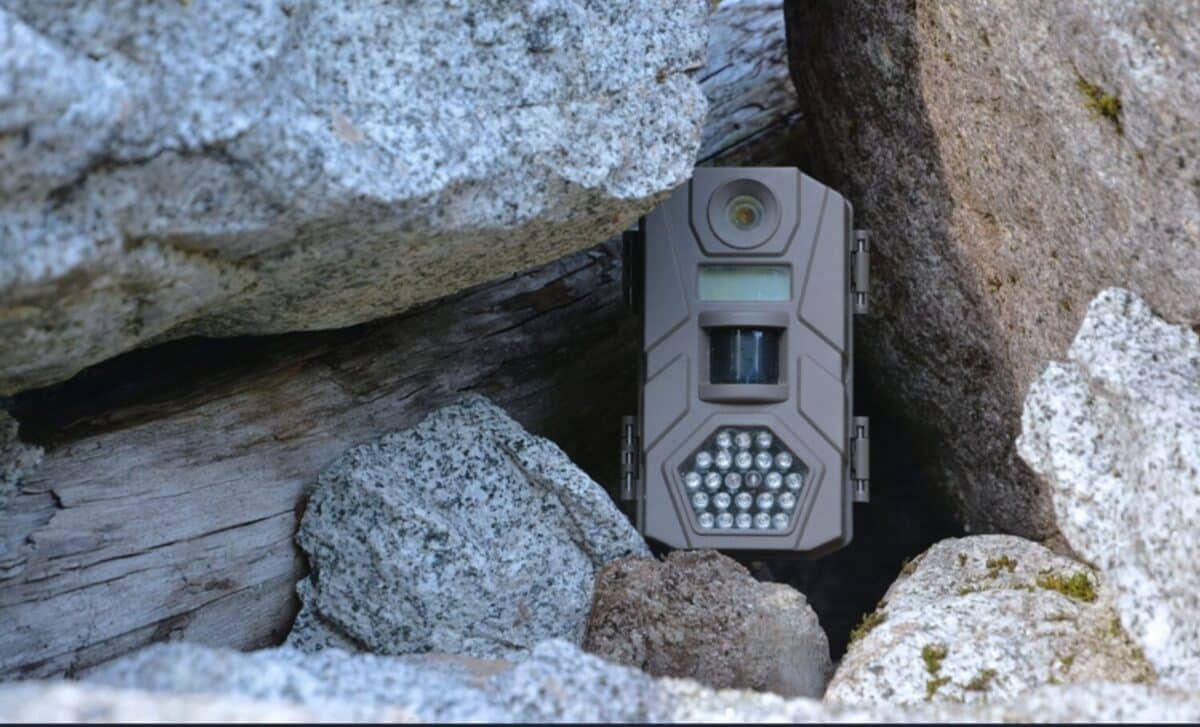  This Man Left a Camera in a Cave for 10 Years – He Never Expected What It Would Capture