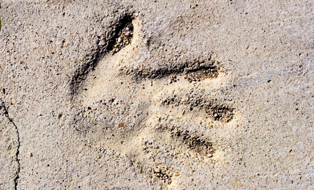  Humans Have a Hidden “Seventh Sense” That Lets Them Feel Objects Without Touching Them