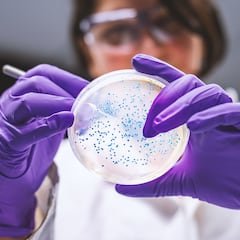 Neither cholesterol nor tobacco: a new factor behind heart disease has been discovered