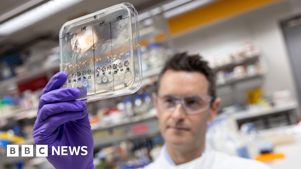  Major AI project to tackle drug-resistant superbugs