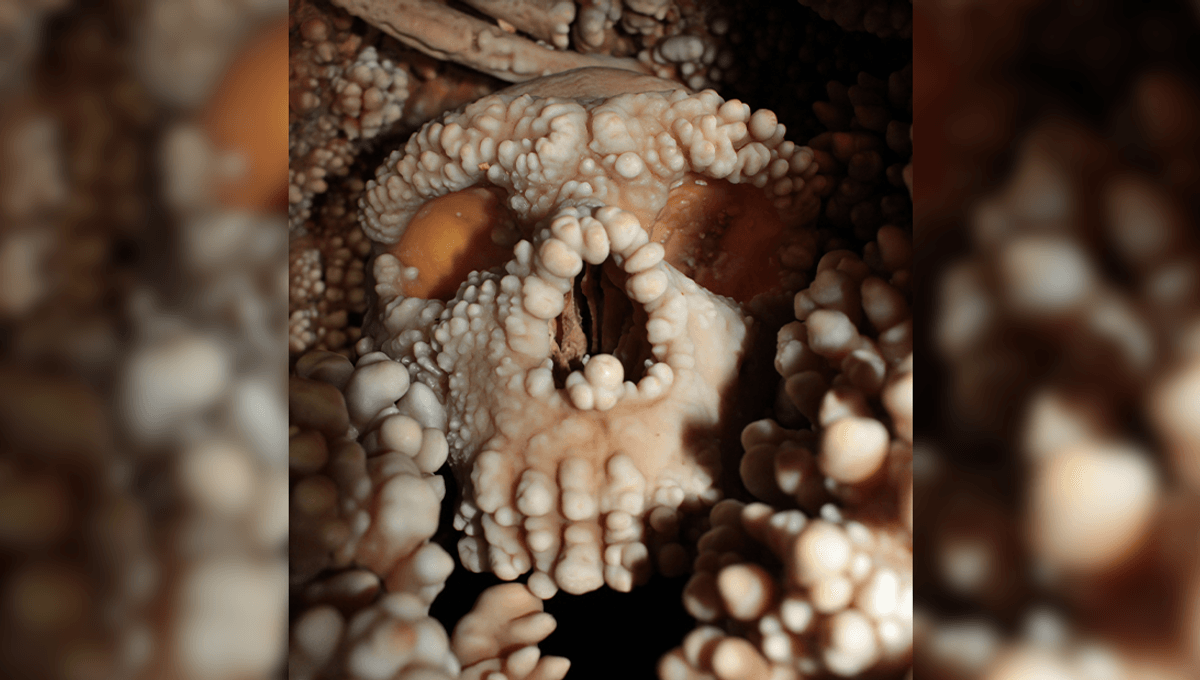  Famous Altamura Neanderthal Remains Reveal First-Ever Preserved Nasal Cavity In Human Fossil Record