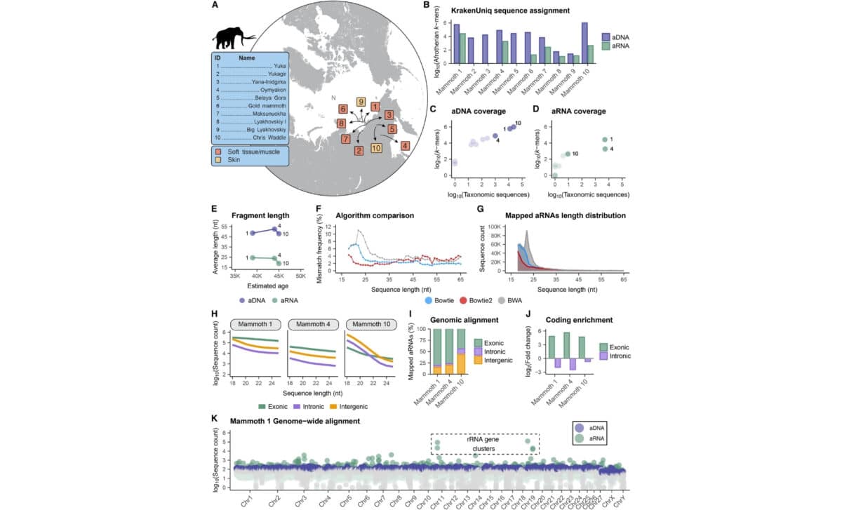 Assessment Of The Authenticity Of Adna And Rna Sequences