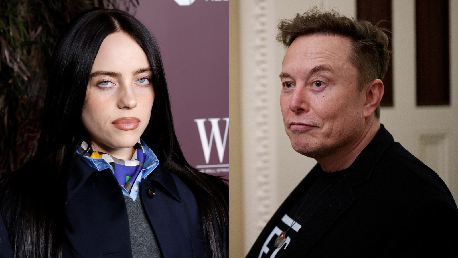  Billie Eilish Calls Elon Musk a Pathetic Coward For Hoarding Wealth