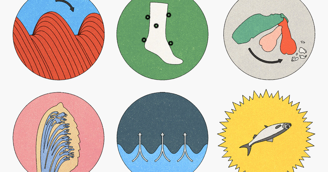  How Inventors Find Inspiration in Evolution