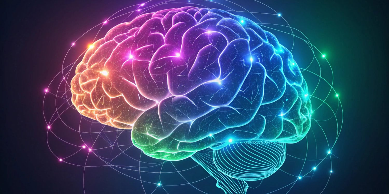  ADHD is linked to early and stable differences in brain’s limbic system