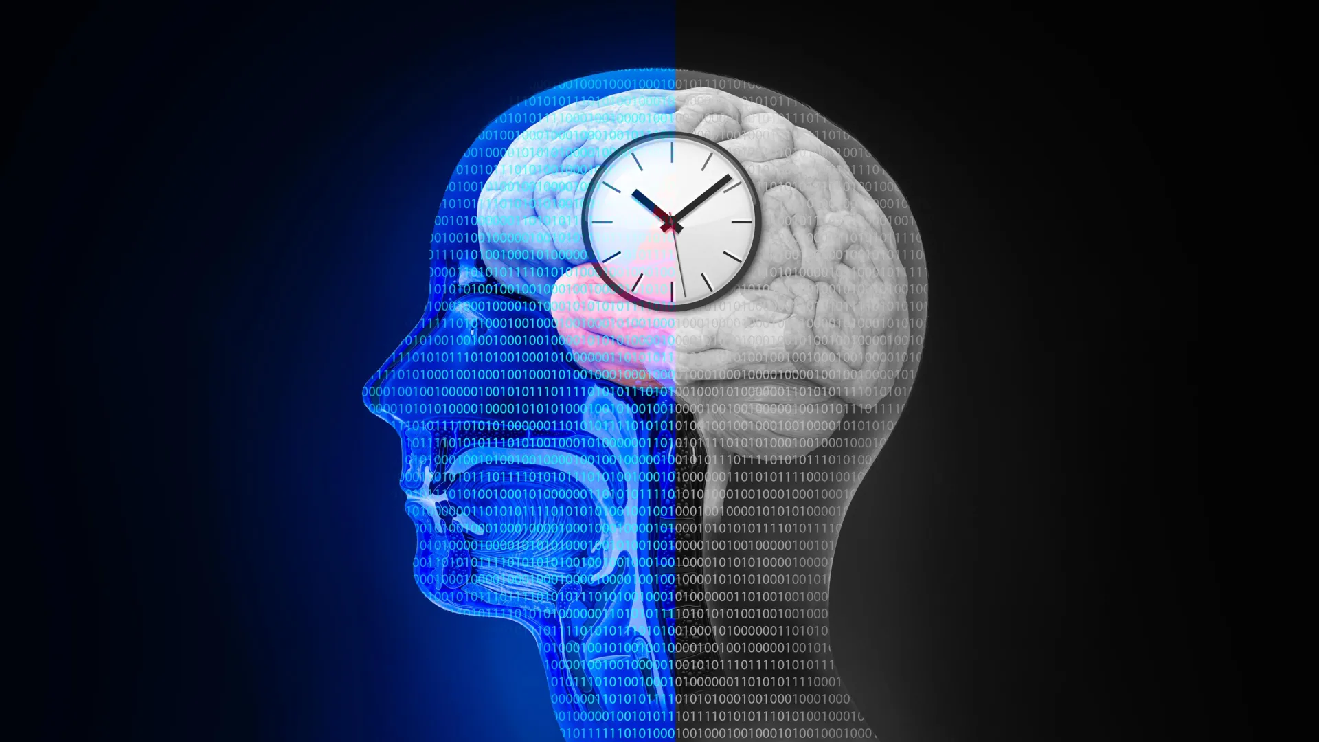  Resetting the body’s rhythm could protect the brain from Alzheimer’s