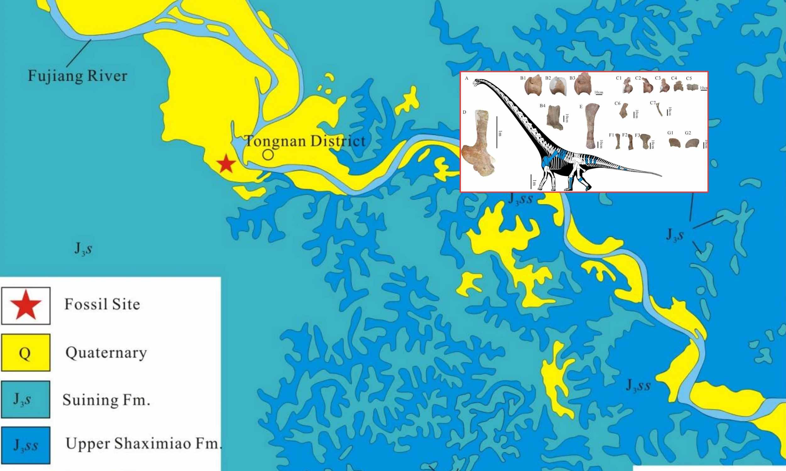  Colossal 92-foot-long dinosaur challenges the imagination