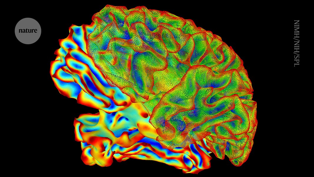  ‘Mind-captioning’ AI decodes brain activity to turn thoughts into text