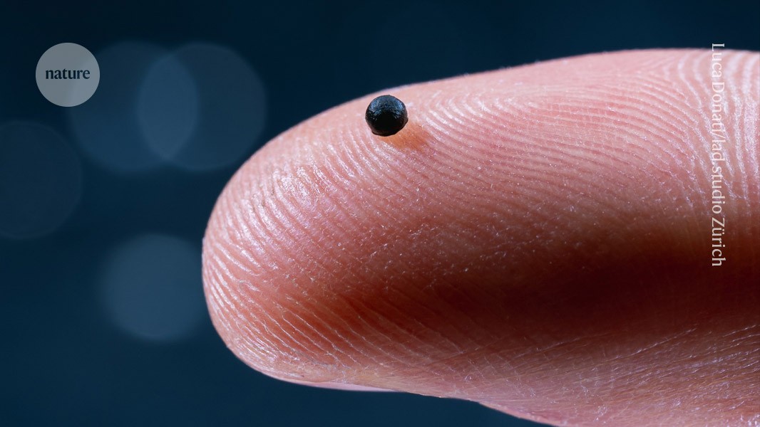  Tiny robots swim through blood, deliver drugs — and then dissolve