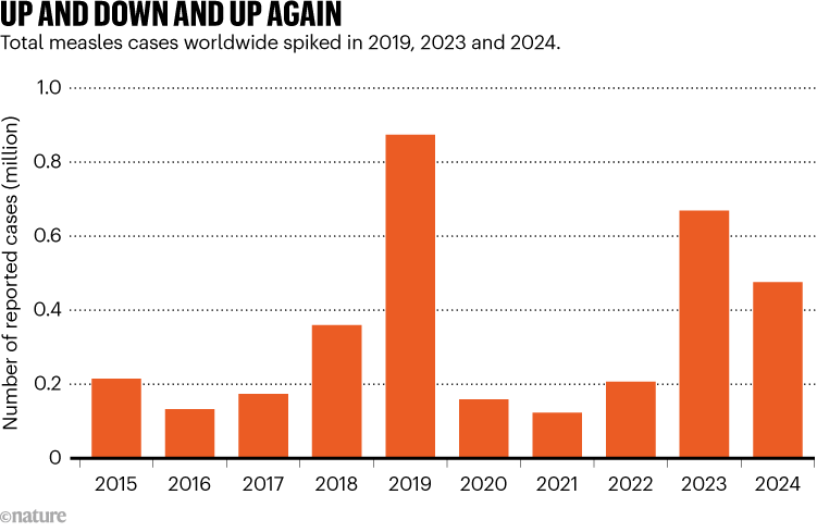 UP AND DOWN AND UP AGAIN. Graphic shows total measles cases worldwide spiked in 2019, 2023 and 2024.
