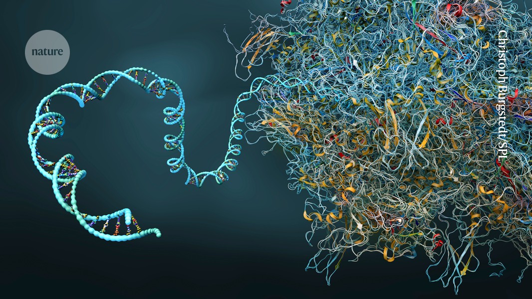  versatile gene-editing tool could tackle a host of diseases