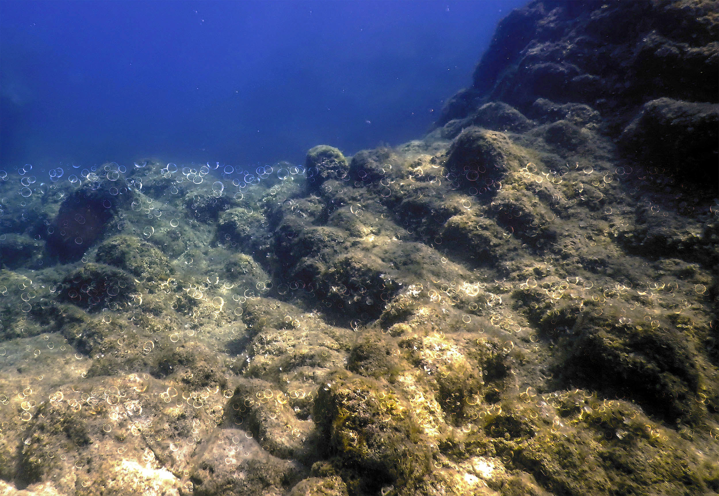  Discovery in the deep ocean defies current human knowledge