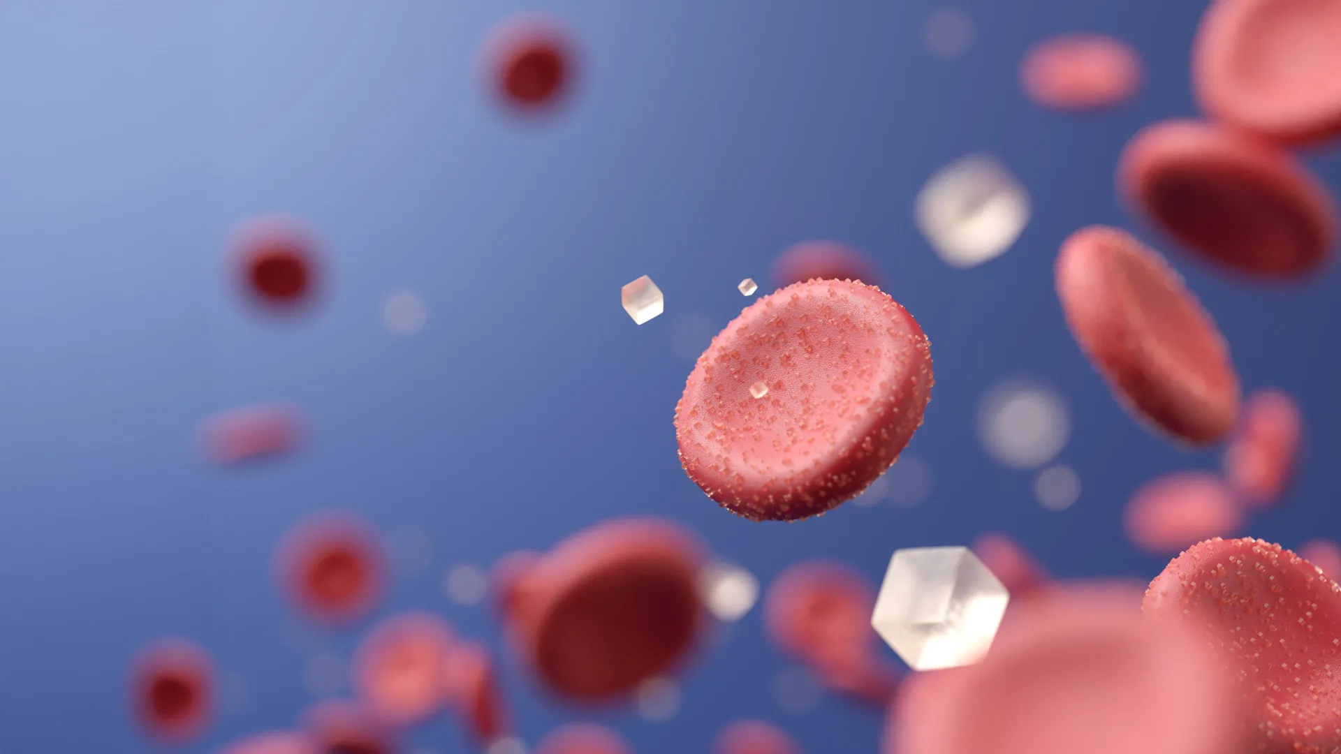  Rare desert berry could transform diabetes treatment