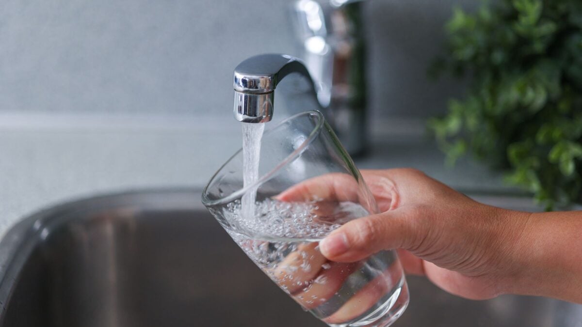  New Research Shatters Common Claim About Fluoride and Intelligence