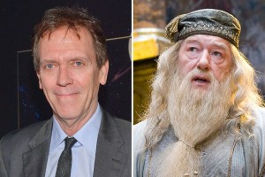Hugh Laurie Dumbledore