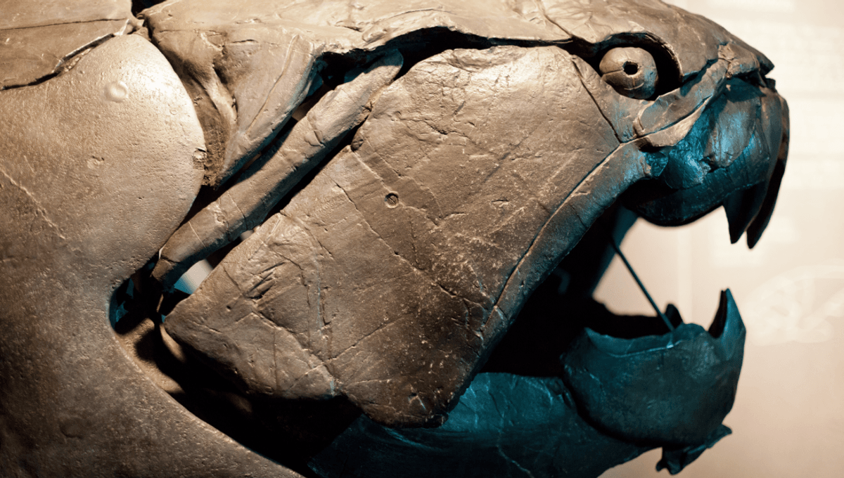  Meet Dunkleosteus, The “Cleveland Sea Monster” That Lived 360 Million Years Ago