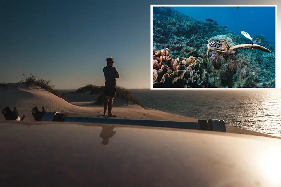 Background: A man on the sand looking out to Ningaloo Reef. Inset: A turtle swimming underwater in Ningaloo Reef.