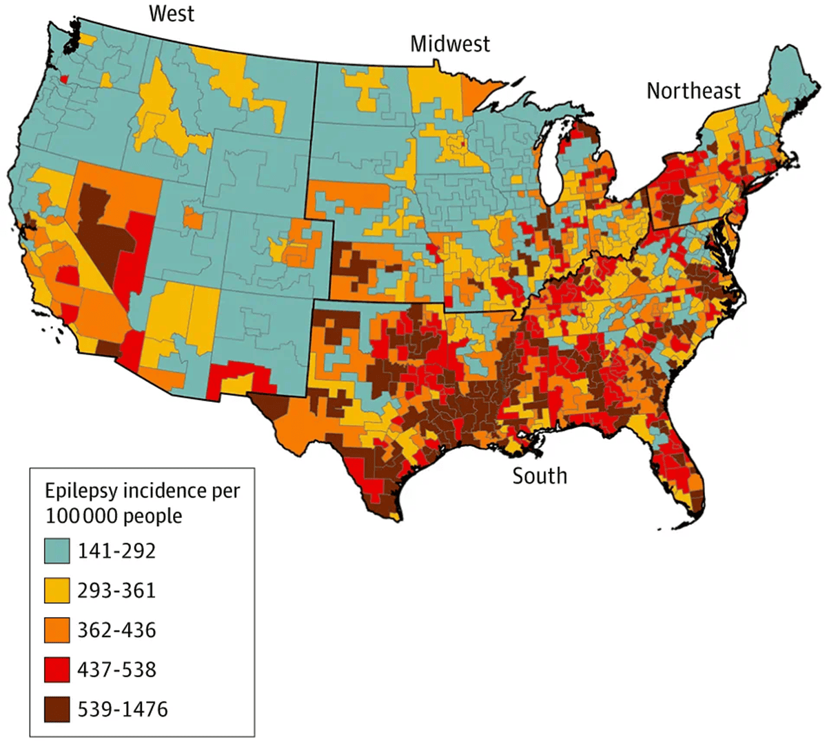  Millions of Seniors Live in America’s “Epilepsy Belt” and Scientists May Finally Know Why