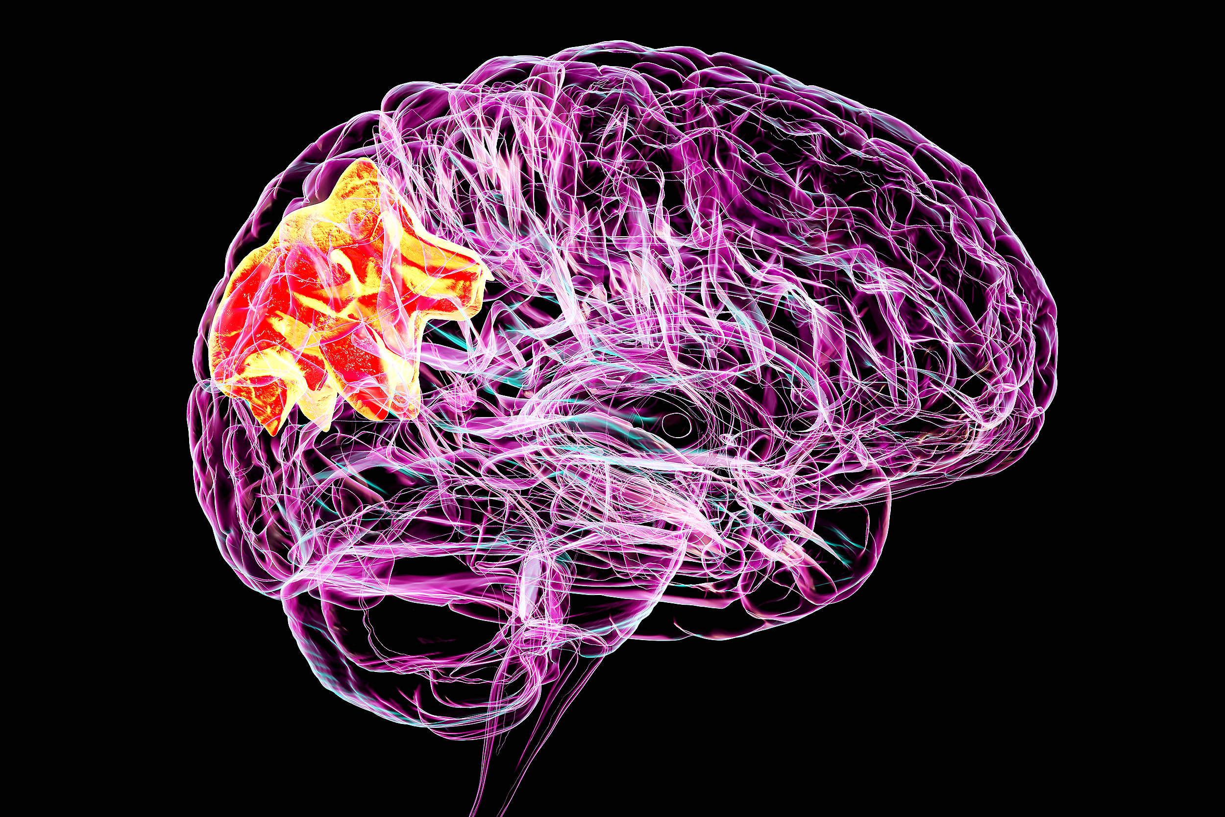  Scientists discover a way to erase bad memories