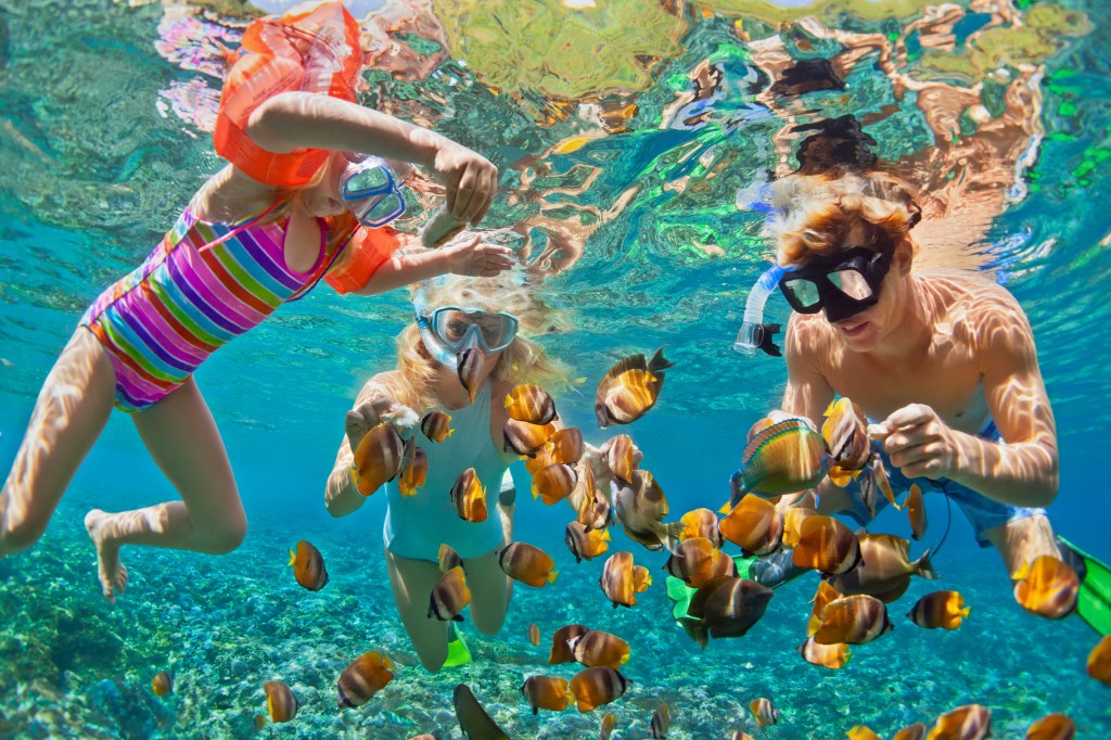Family snorkeling with fish in Hawaii