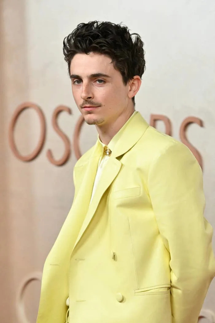 Timothée in a tailored suit on a red carpet