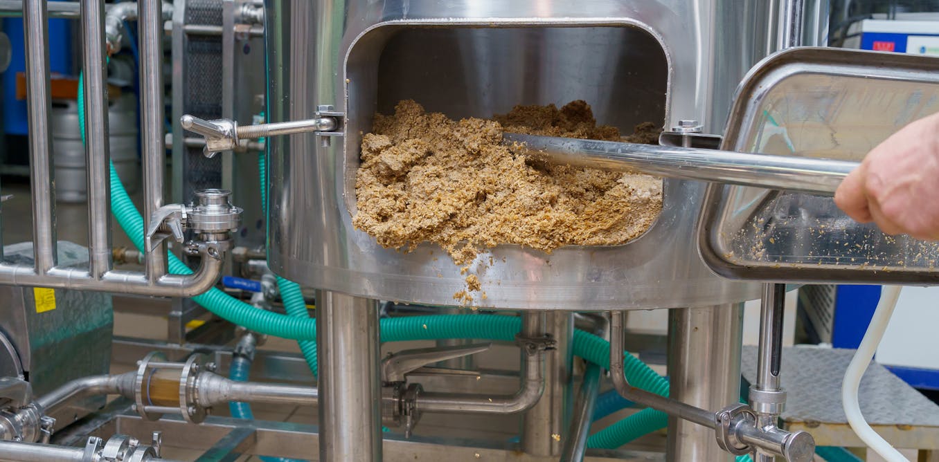  Brewery waste can be repurposed to make nanoparticles that can fight bacteria