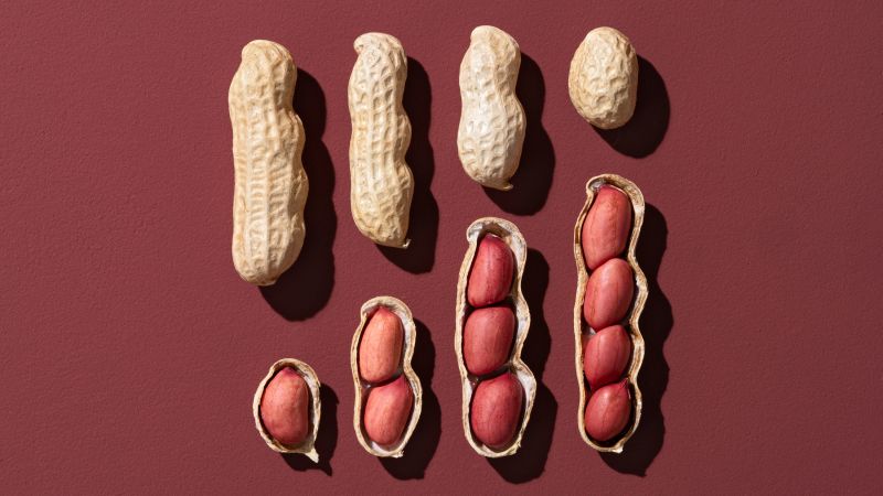  Science got peanut allergies all wrong – until the scientific method got it right