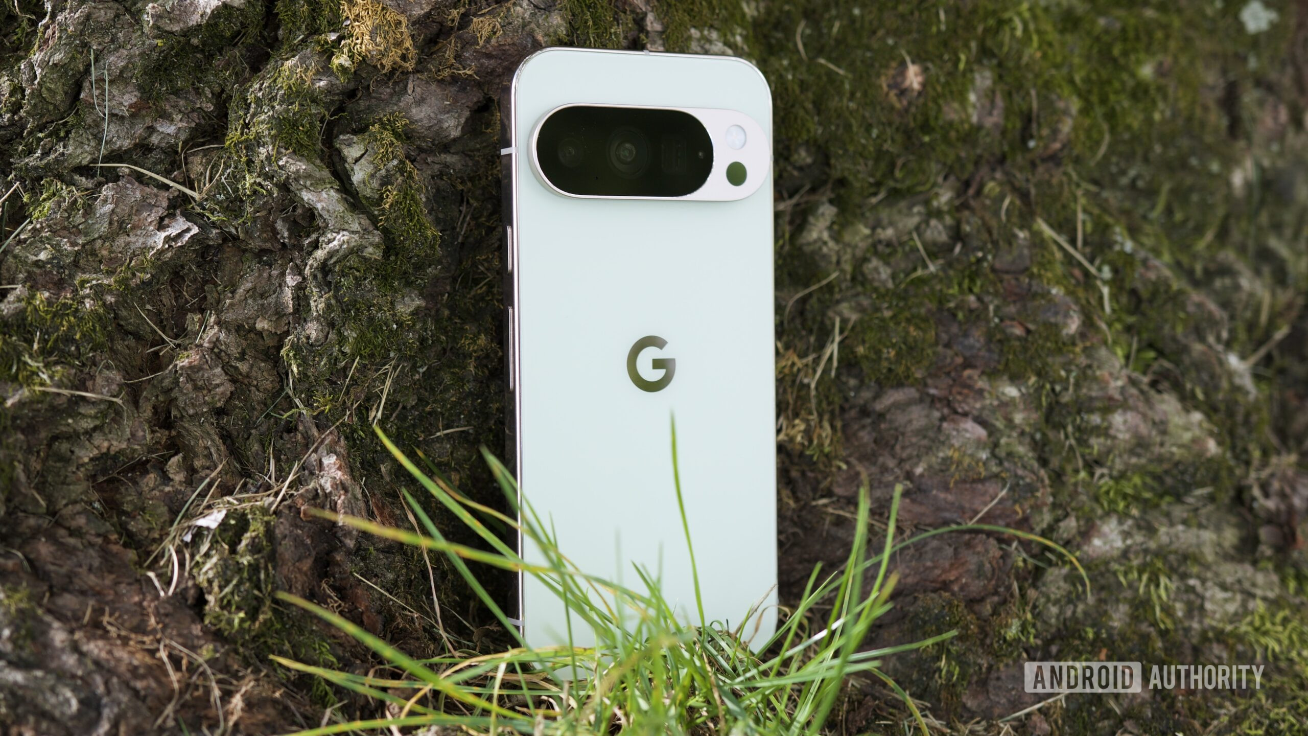 The Google Pixel 10 Pro in Jade, resting against a tree.