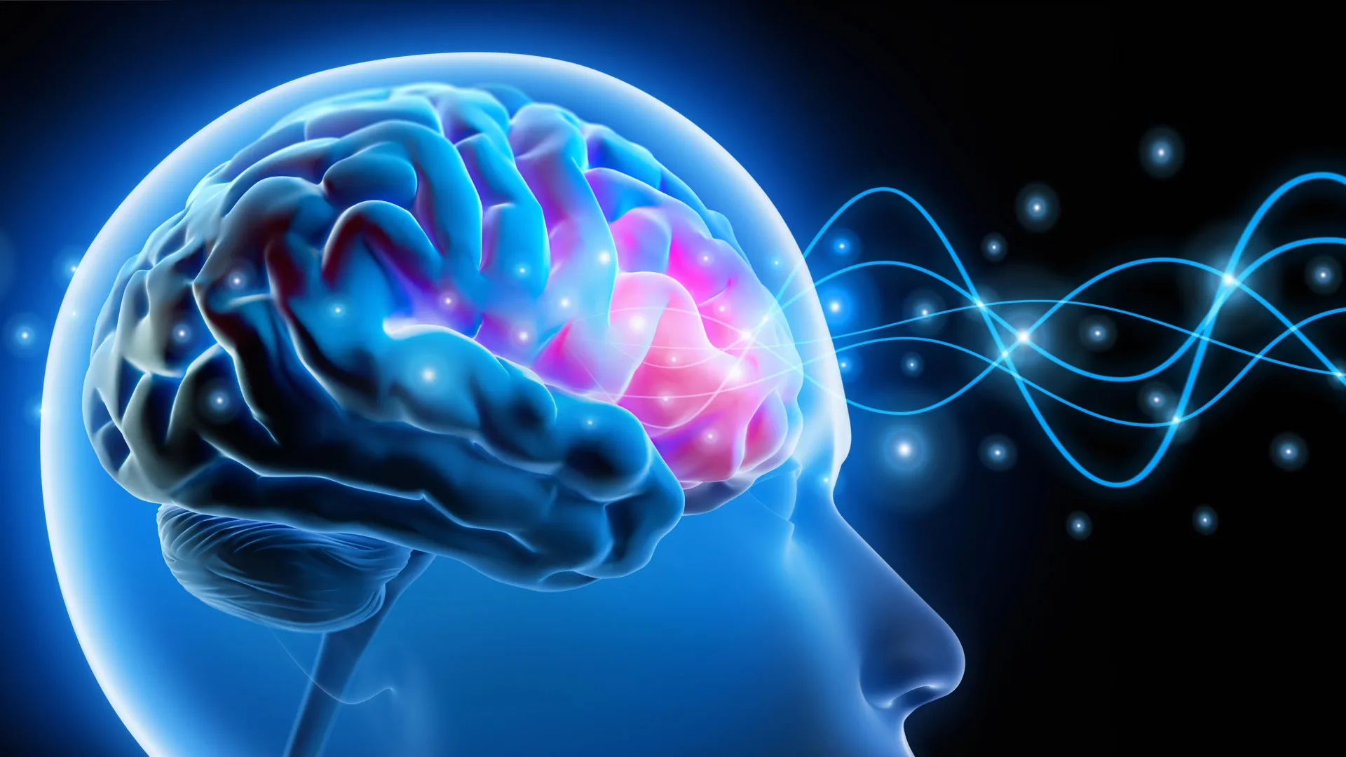  Scientists reverse anxiety by rebalancing the brain