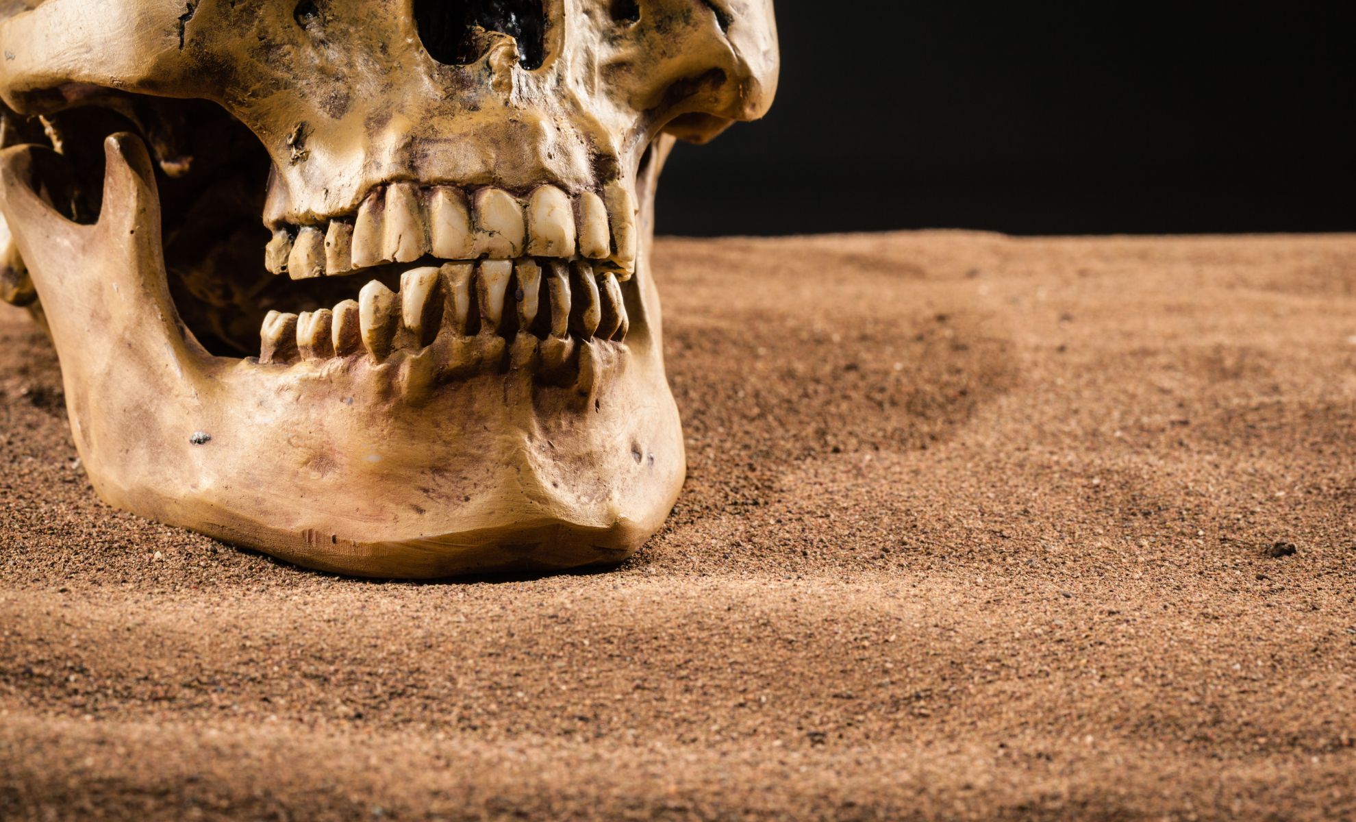  The Protein That Changes Everything We Knew