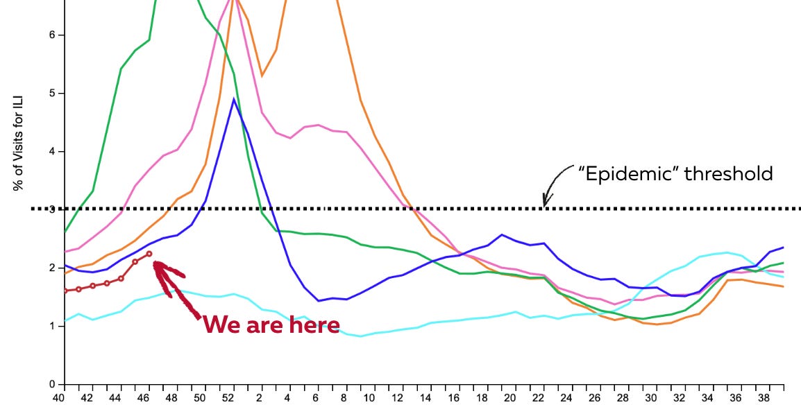  Thanksgiving guide to viruses, family conversations, and public health updates