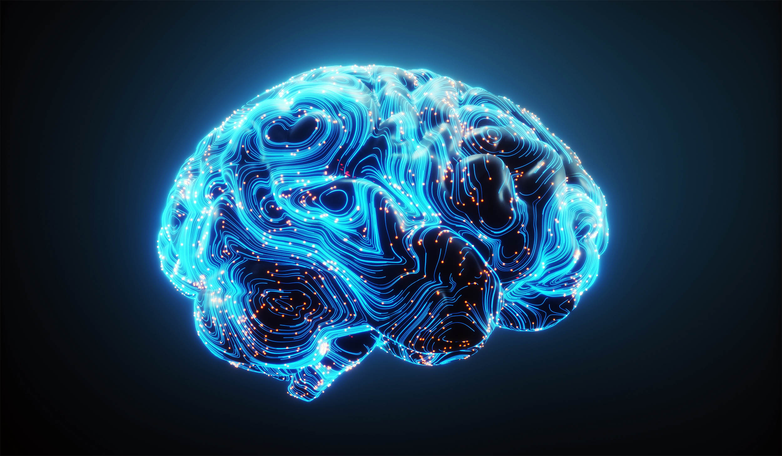  Humans may be born with preconfigured brains that know the world