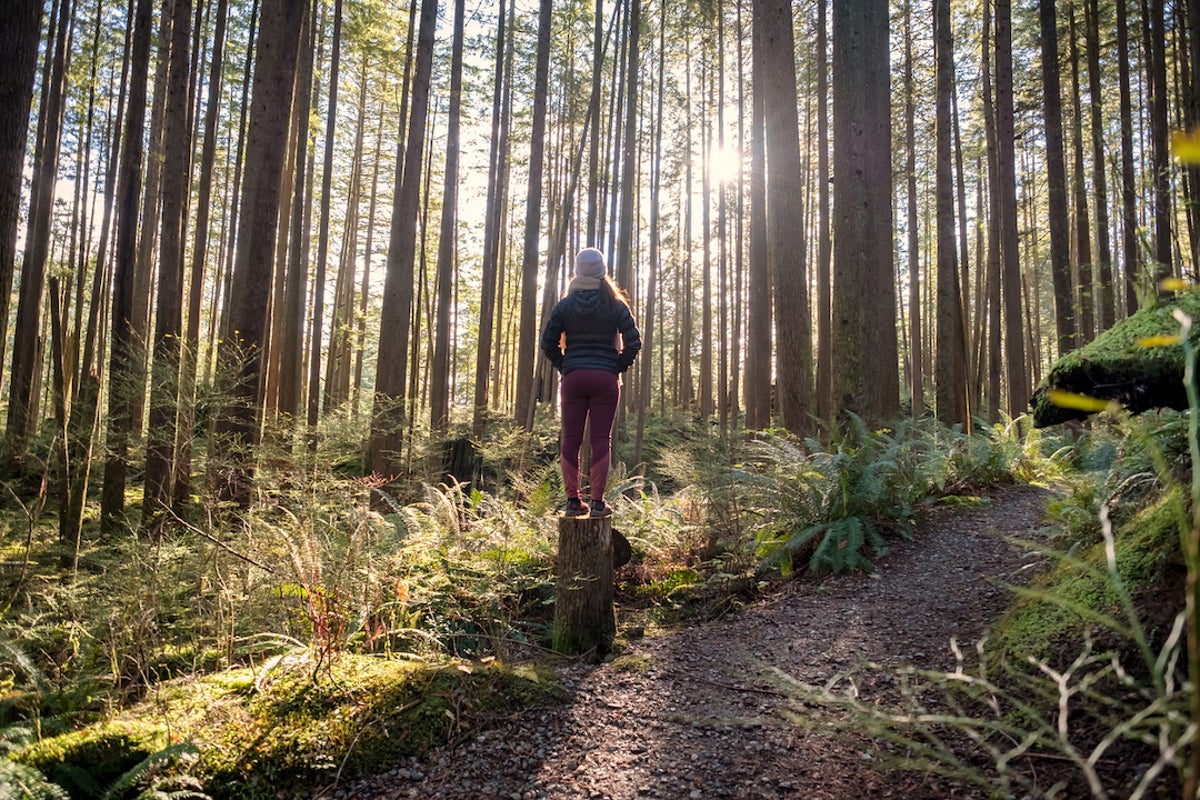  We’ve never been more disconnected from nature – here’s how forest bathing can transform your health