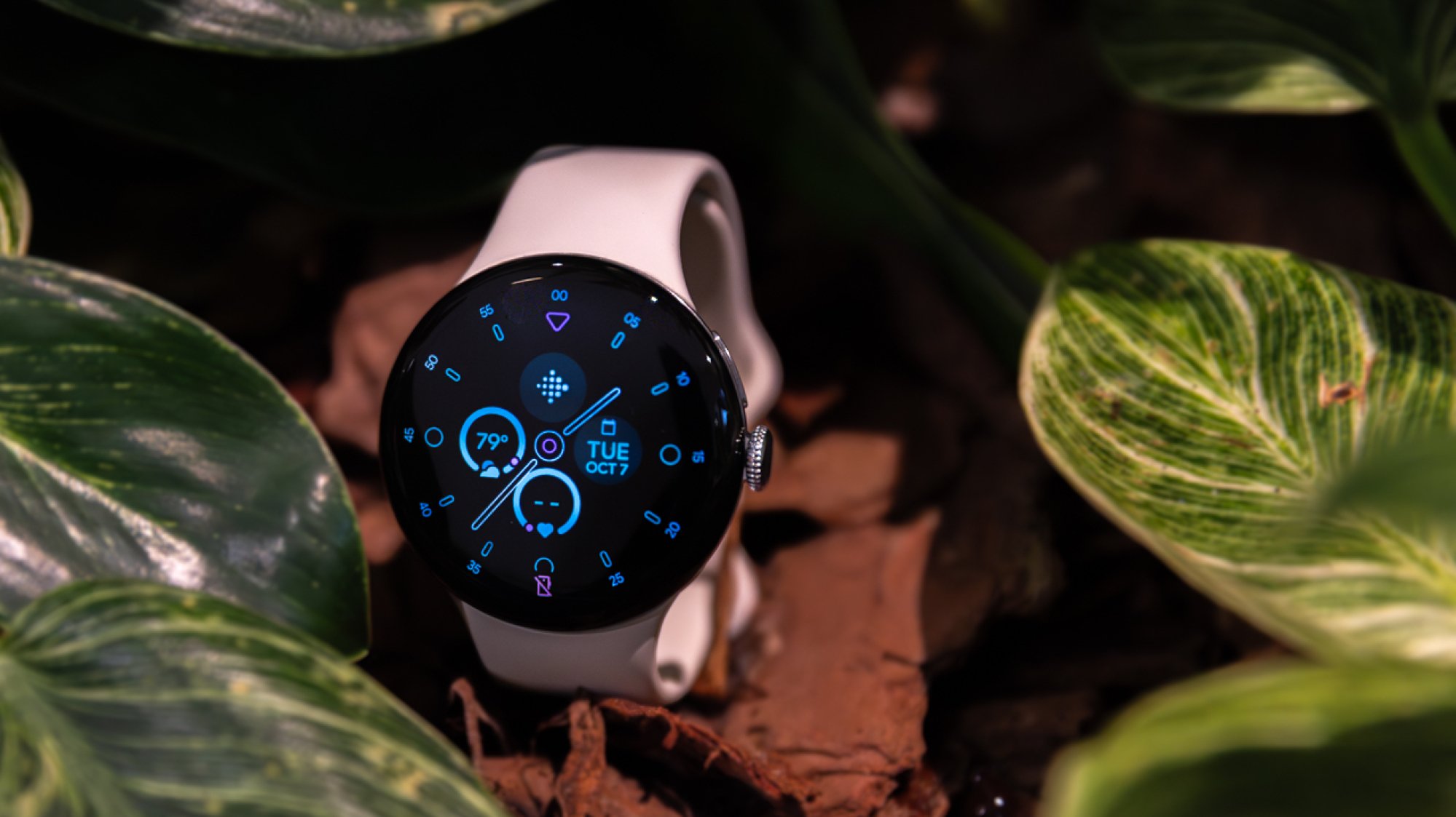 google pixel 4 watch portrait