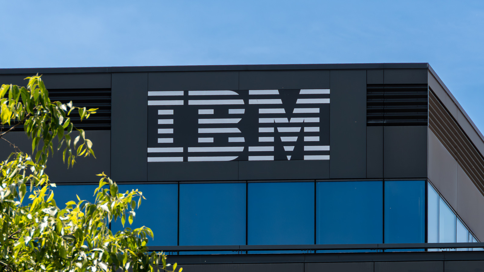  IBM’s 8,000 Layoffs Reveal The Harsh Reality Of The AI Revolution
