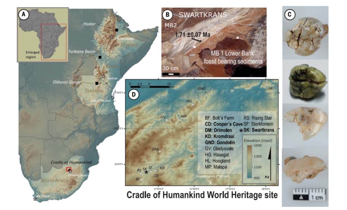 Location And Cave Structure Of The Site Of Swartkrans, South Africa