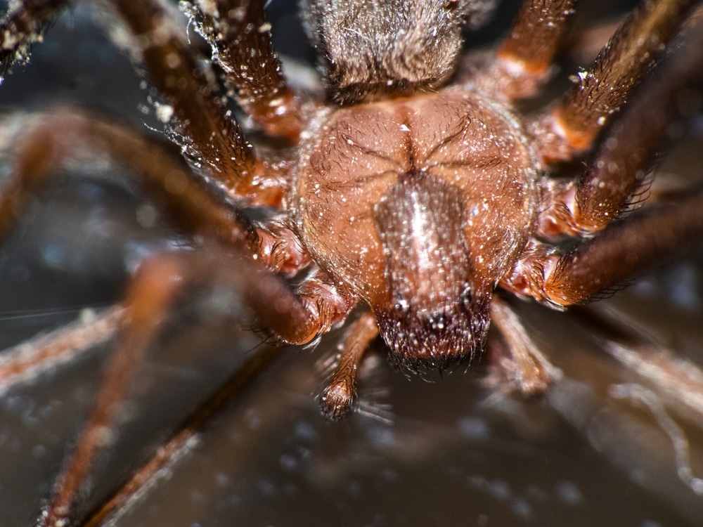  What Experts Found Left Them Speechless