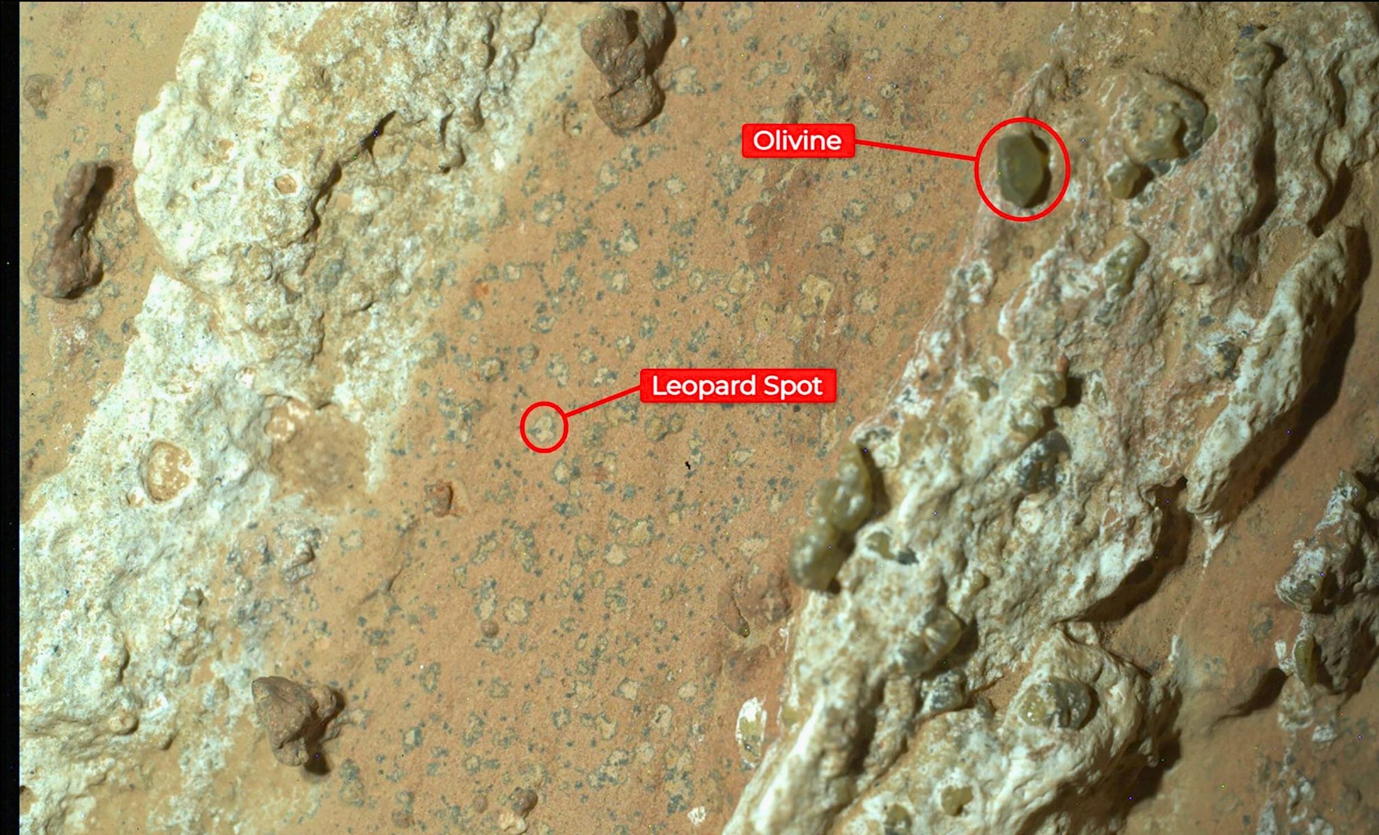  NASA Announces a “Groundbreaking Discovery” of Life in Mars — the Evidence Is More Than Compelling