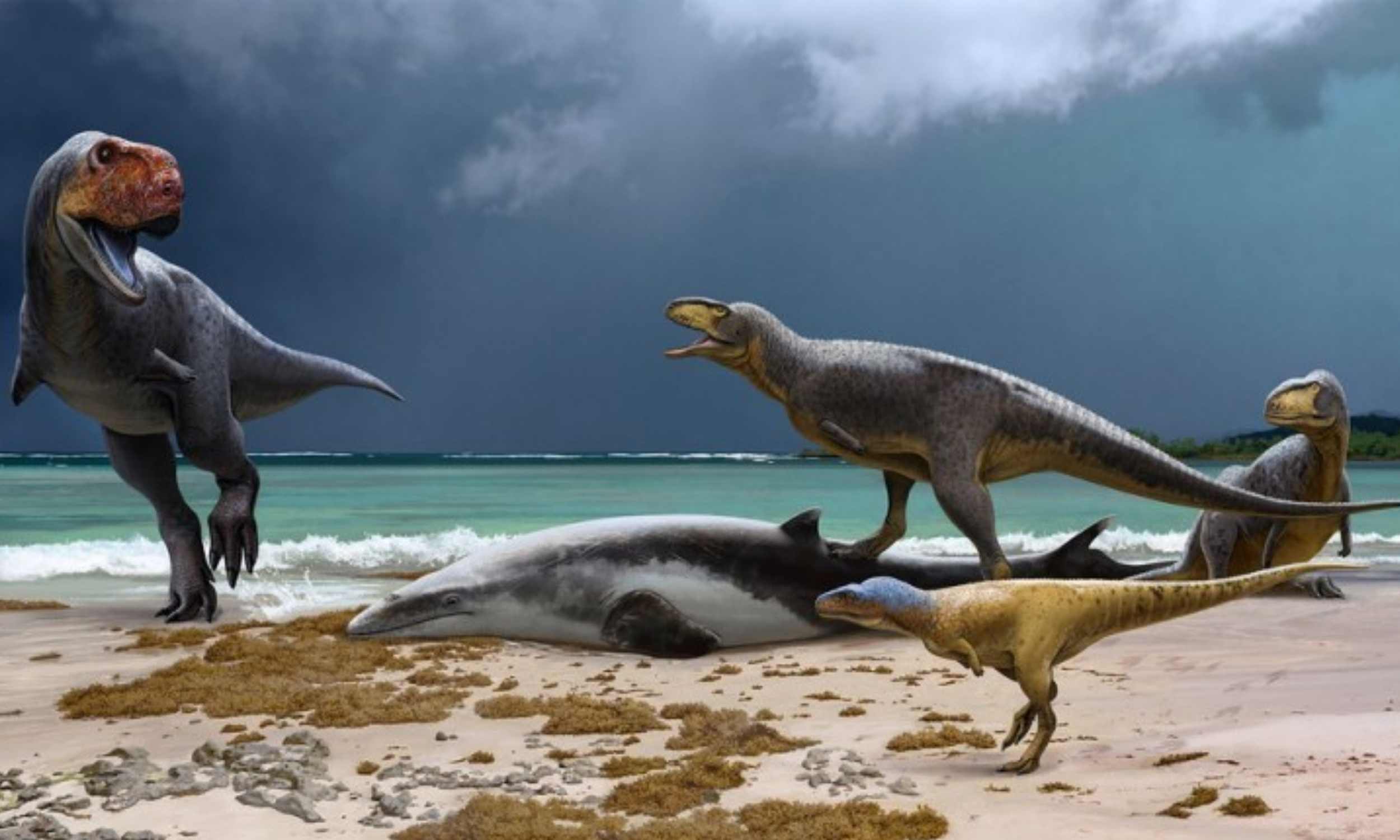  Duck-billed dinosaur species found that lived just before extinction
