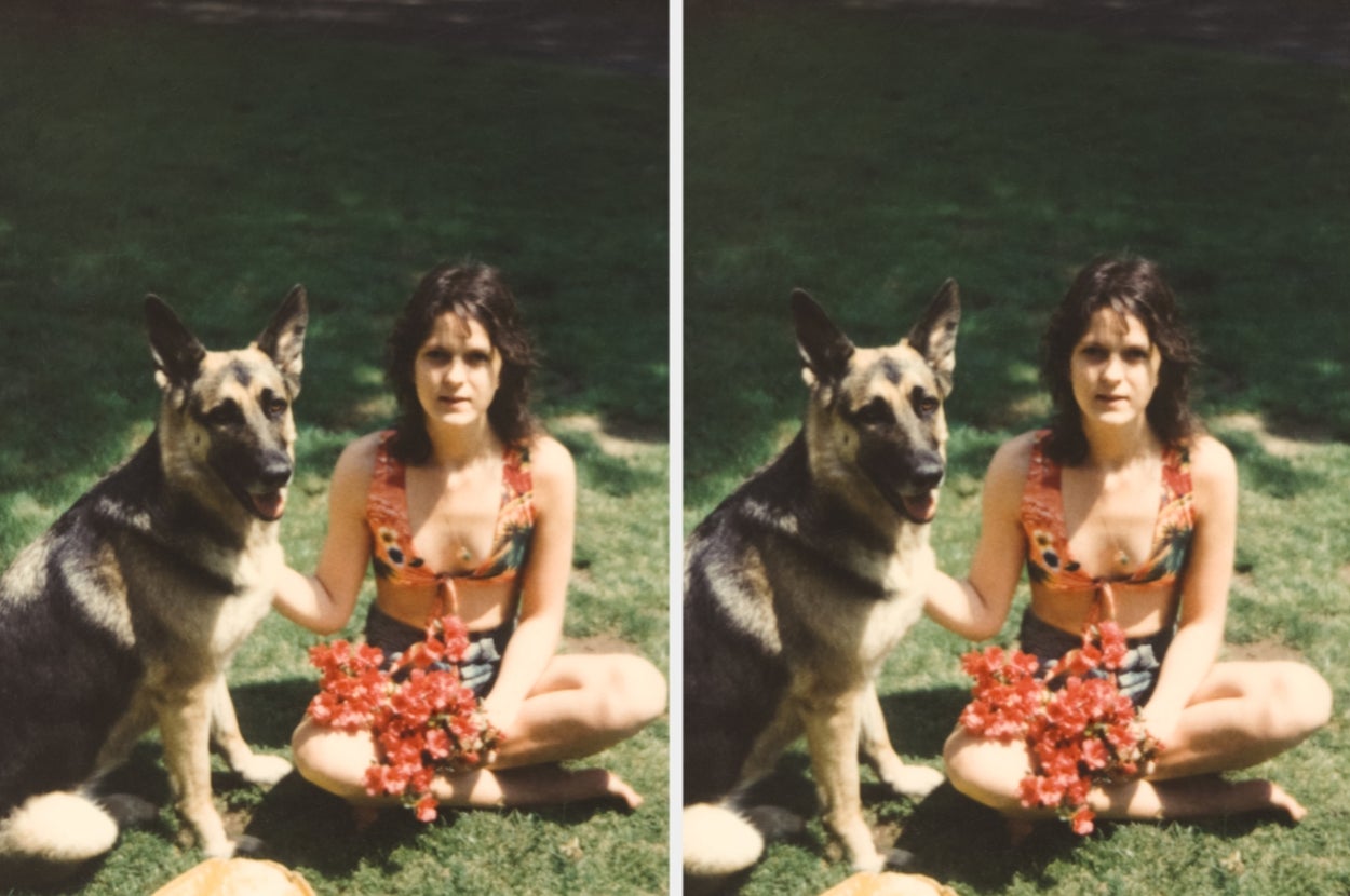  Dog Health Changes Vets Say You Shouldn’t Ignore