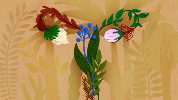  How bacteria in the vagina can improve health