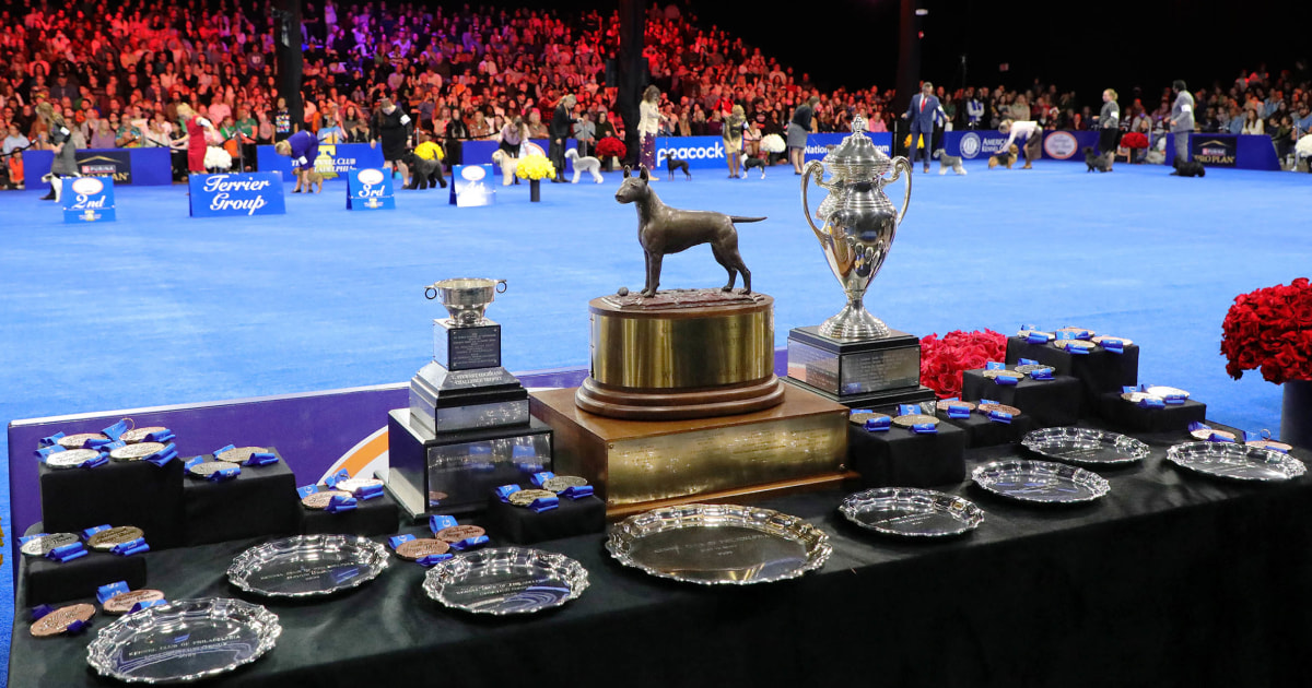  2025 National Dog Show Winner: Meet Soleil